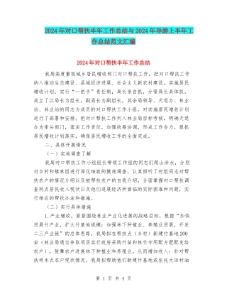 2024年对口帮扶半年工作总结与2024年导游上半年工作总结范文汇编
