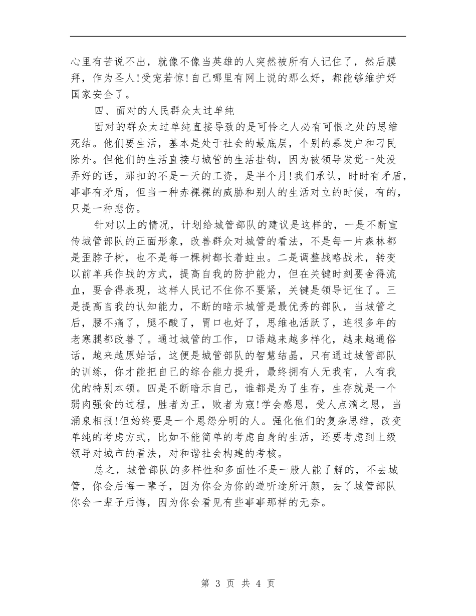 2024年城管工作年度总结_第3页