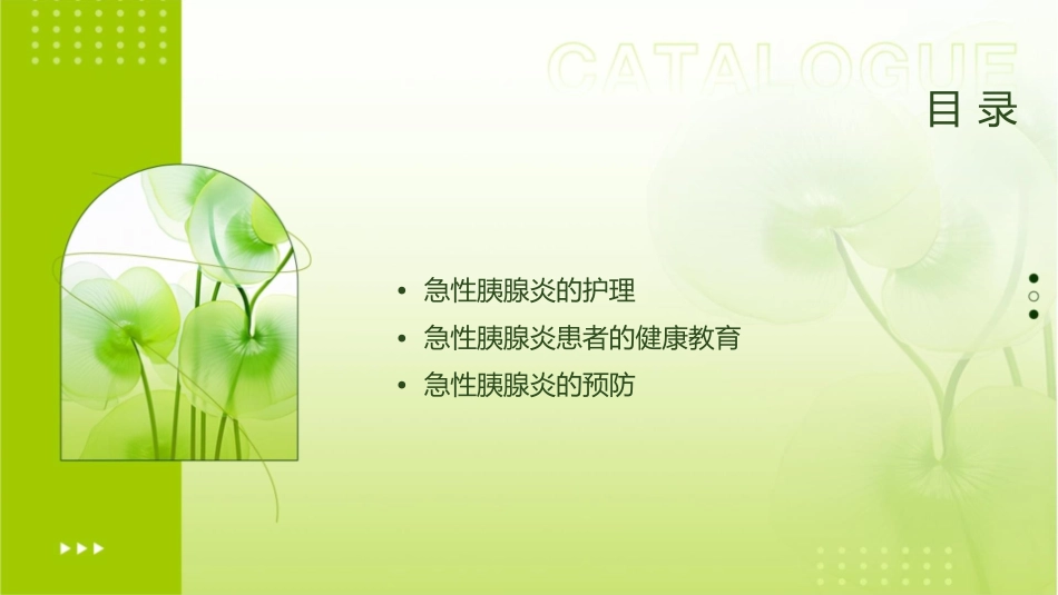 急性胰腺炎小讲课指导护理课件_第2页