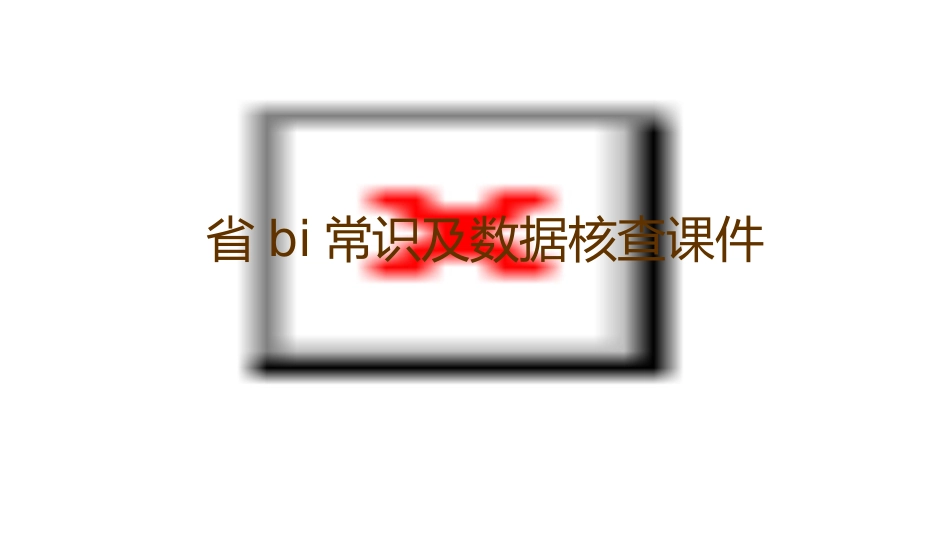 省BI常识及数据核查课件_第1页