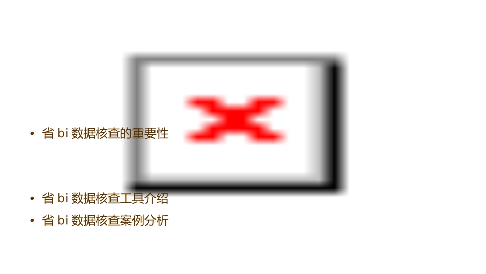 省BI常识及数据核查课件_第2页