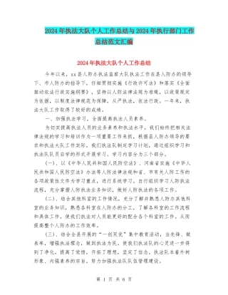 2024年执法大队个人工作总结与2024年执行部门工作总结范文汇编