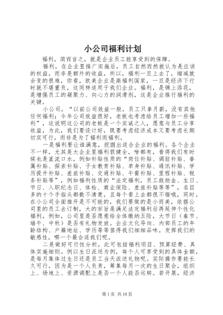 小公司福利计划