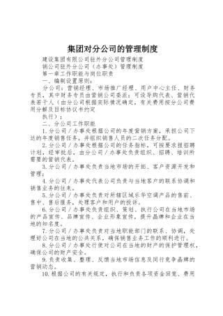 集团对分公司的管理规章制度 
