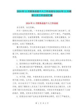 2024年11月财务总监个人工作总结与2024年11月销售人员工作总结汇编