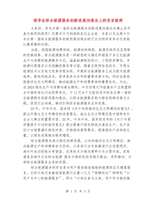 领导在综合能源服务创新发展交流会上的发言致辞