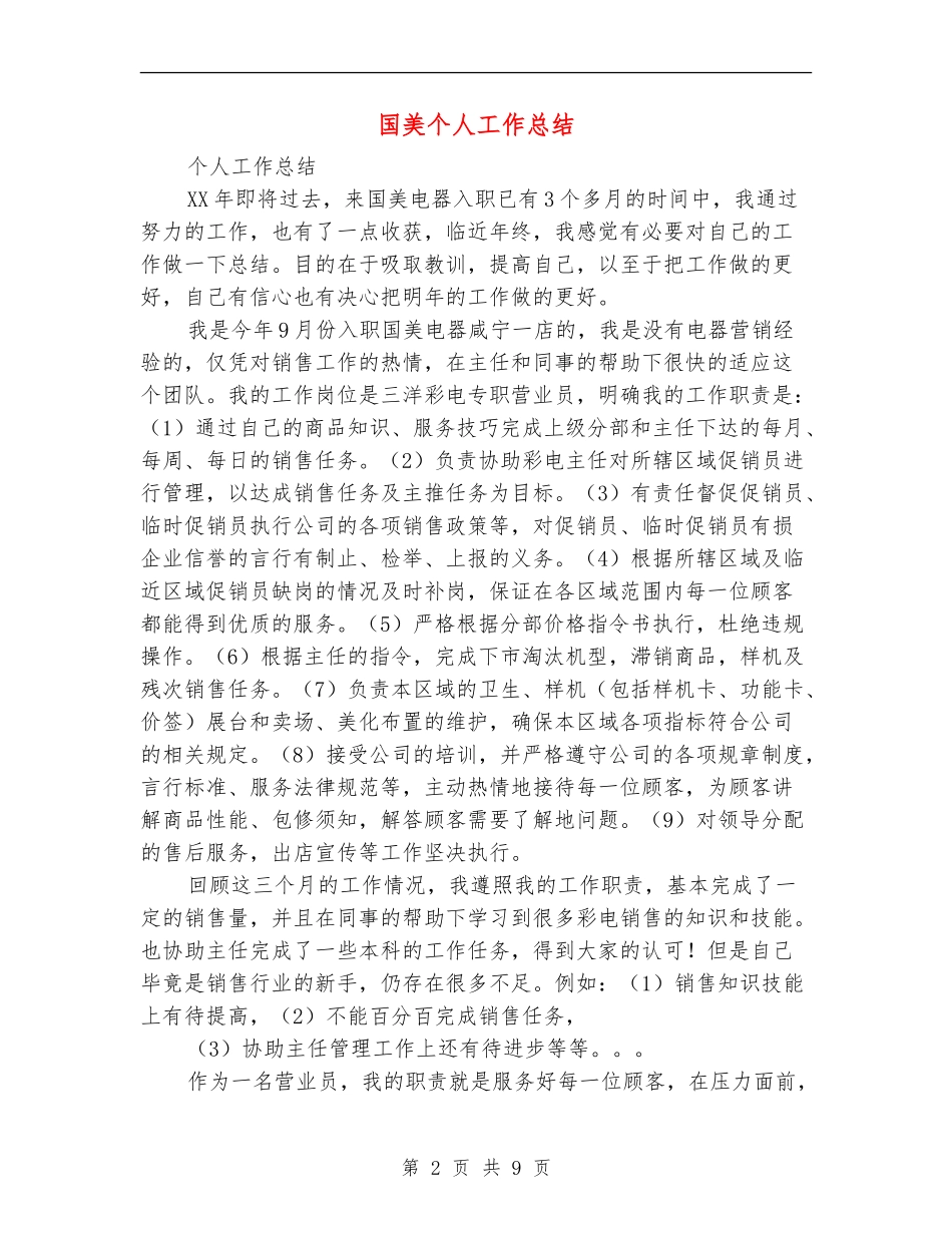国美个人工作总结_第2页