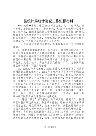 县统计局统计巡查工作汇报材料 