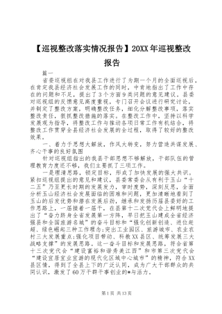 【巡视整改落实情况报告】20XX年巡视整改报告