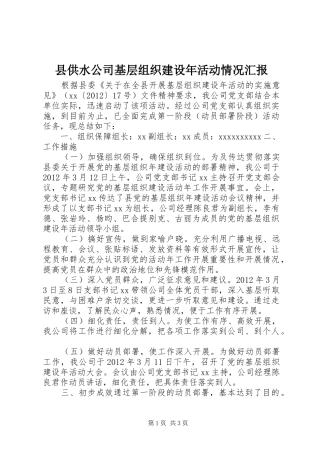 县供水公司基层组织建设年活动情况汇报 