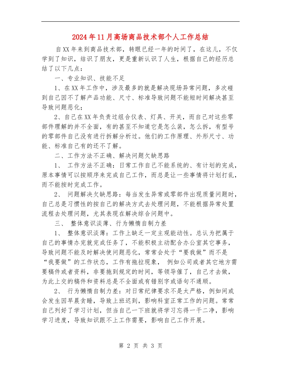 2024年11月高场商品技术部个人工作总结_第2页