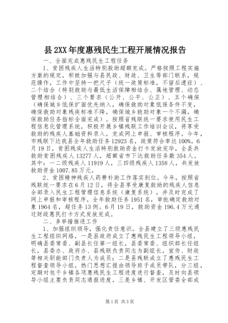 县2XX年度惠残民生工程开展情况报告 