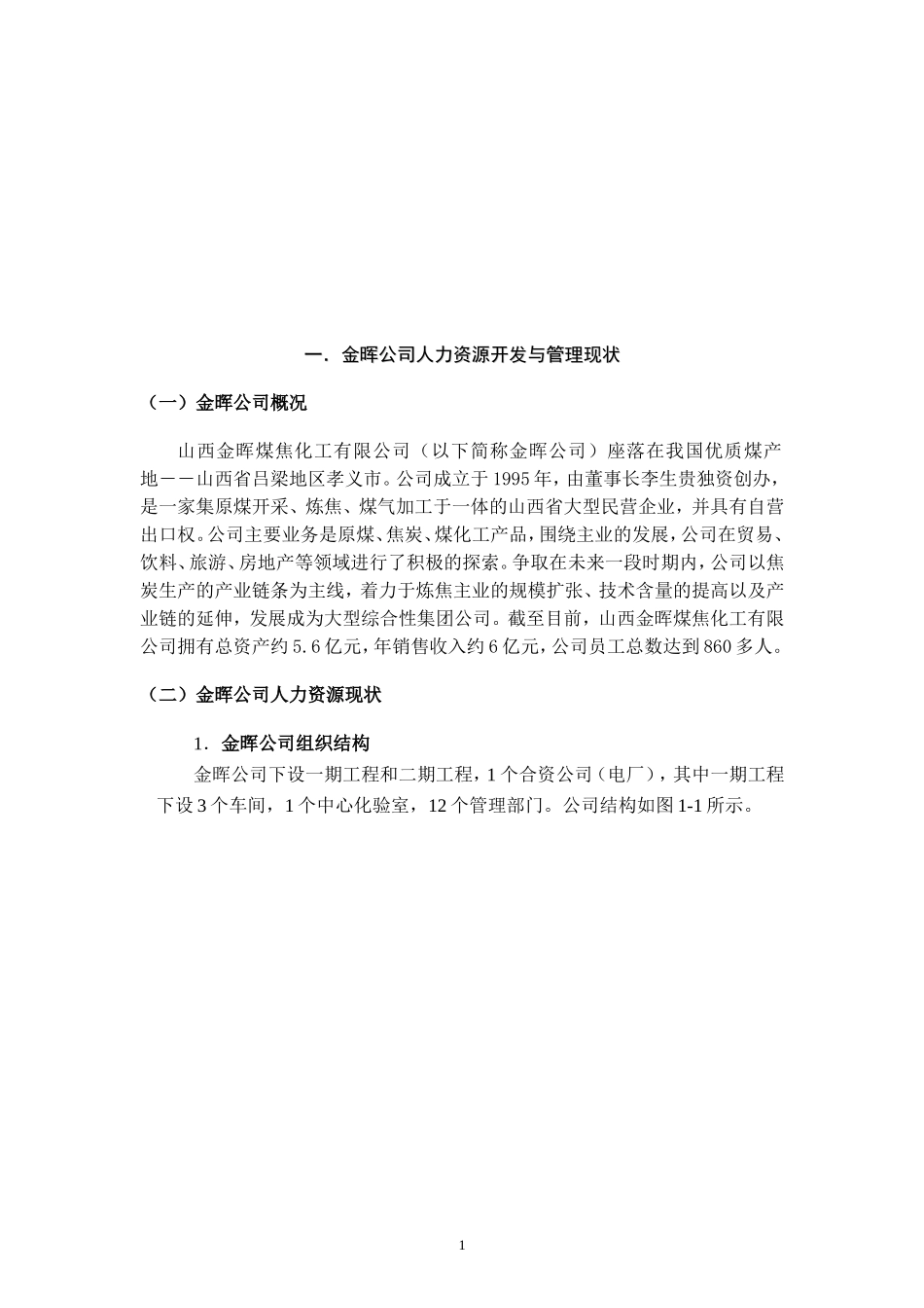 某某公司人力资源规划方案实施策略_第2页