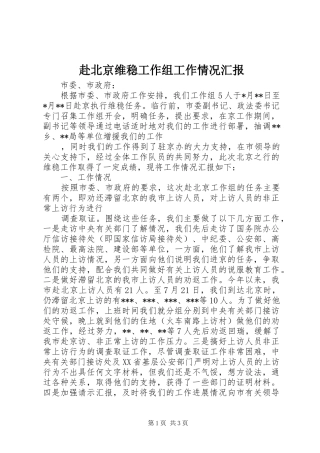 赴北京维稳工作组工作情况汇报 