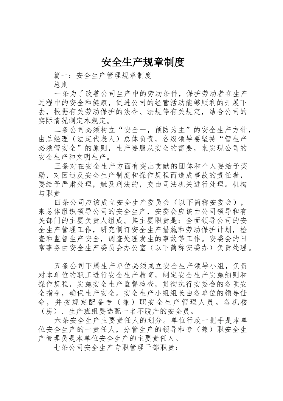 安全生产规章规章制度 (19)_第1页