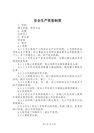 安全生产奖惩规章制度 (19)