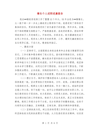 镇长个人述职述廉报告