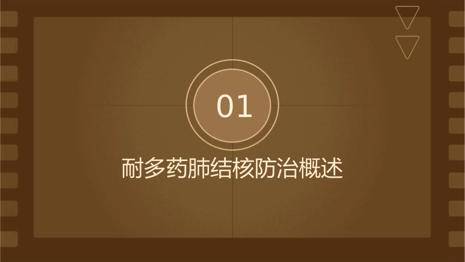 耐多药肺结核防治关键指标统计分析课件_第3页