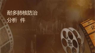 耐多药肺结核防治关键指标统计分析课件