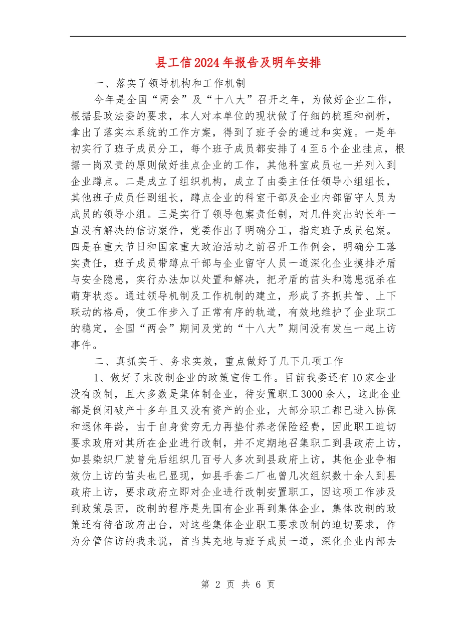 县工信2024年报告及明年安排_第2页