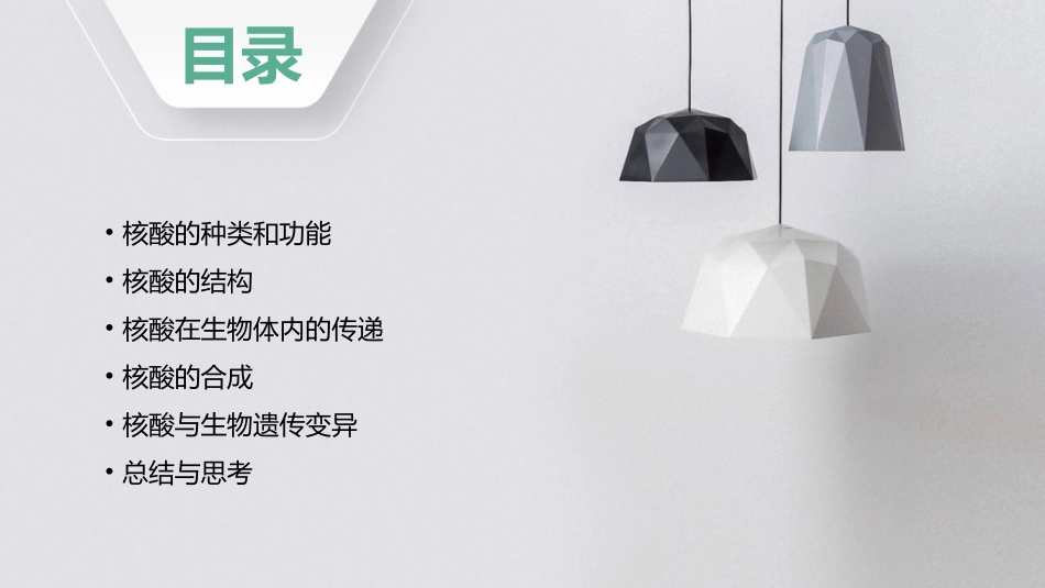 高一生物  遗传信息的传递者核酸课件_第2页