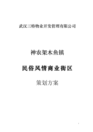 湖北神农架木鱼镇民俗风情商业街区策划方案