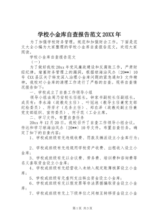 学校小金库自查报告范文20XX年