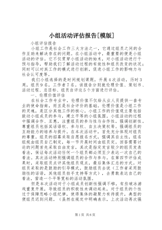 小组活动评估报告[模版] 