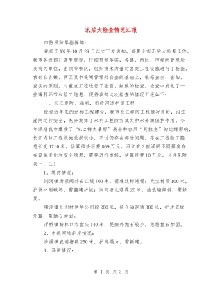 汛后大检查情况汇报