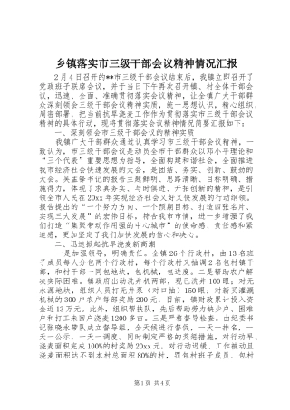 乡镇落实市三级干部会议精神情况汇报 