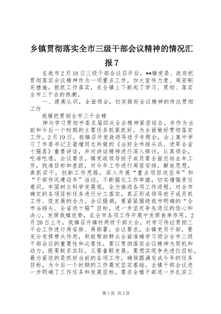 乡镇贯彻落实全市三级干部会议精神的情况汇报7 