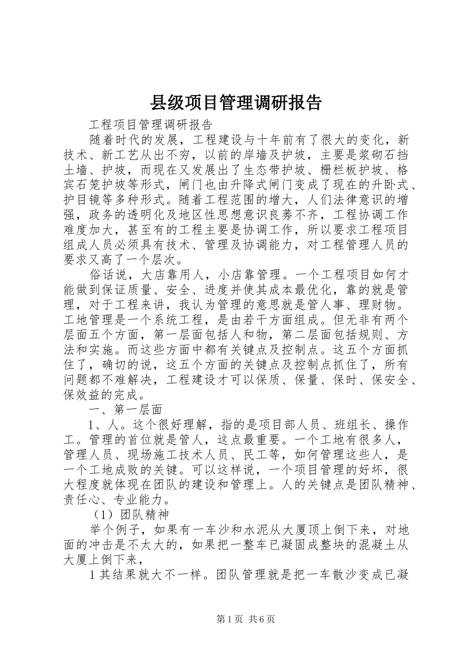 县级项目管理调研报告 _第1页