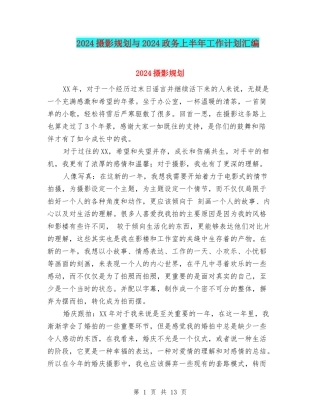 2024摄影规划与2024政务上半年工作计划汇编