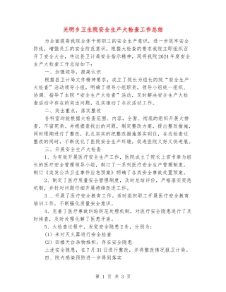 光明乡卫生院安全生产大检查工作总结