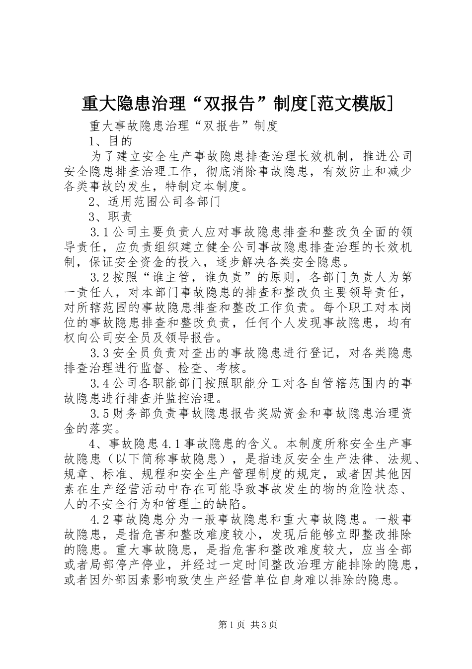 重大隐患治理“双报告”规章制度细则[范文模版]_第1页