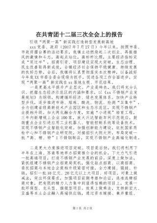 在共青团十二届三次全会上的报告 