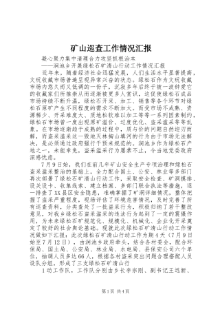 矿山巡查工作情况汇报 