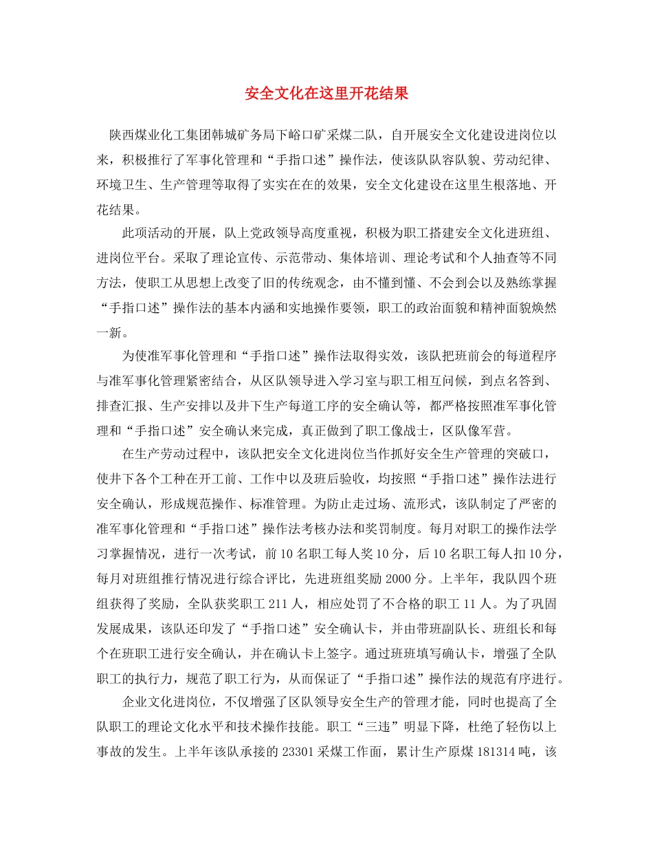 《安全文化》之安全文化在这里开花结果 _第1页