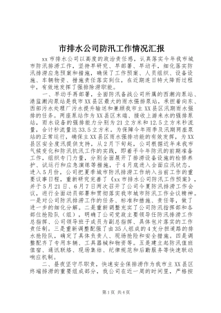 市排水公司防汛工作情况汇报 