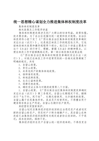 统一思想精心谋划全力推进集体林权规章制度改革