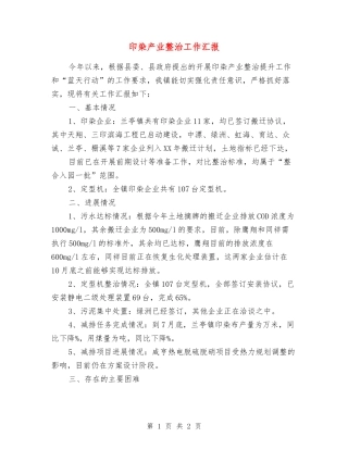 印染产业整治工作汇报