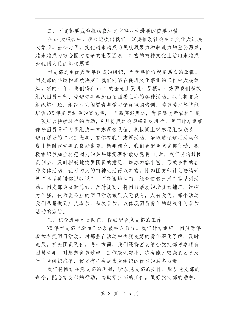 农村团支部工作计划_第3页