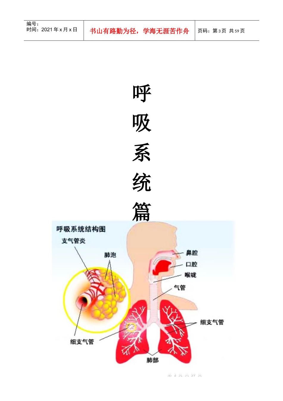 药店员工专业知识学习手册_第3页