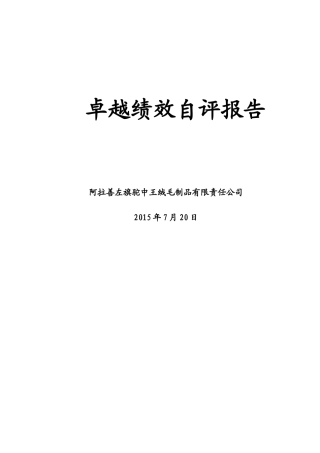 驼中王公司卓越绩效自评报告1