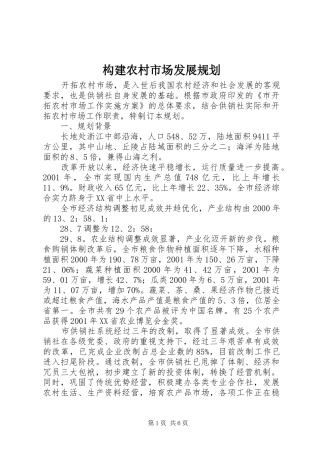 构建农村市场发展规划