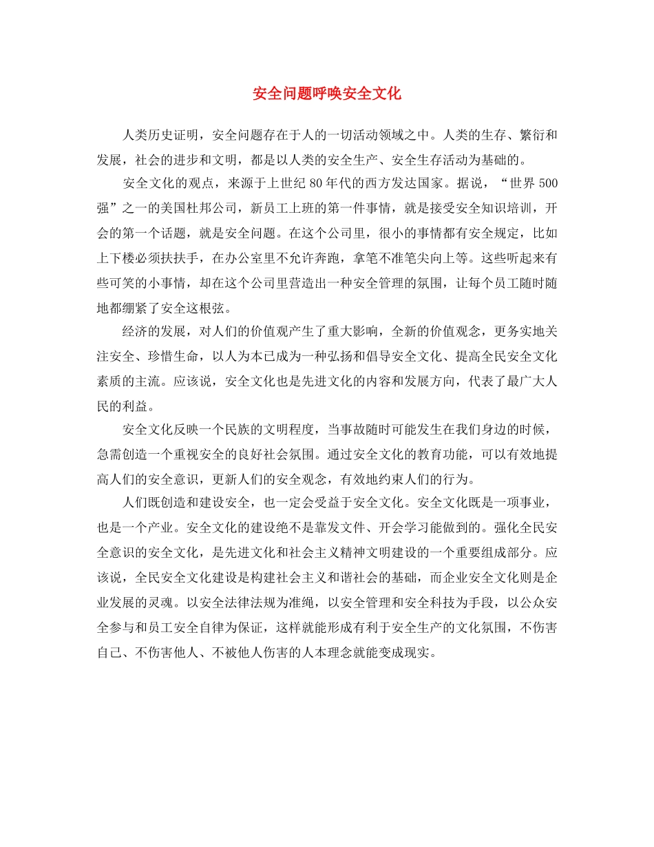 《安全文化》之安全问题呼唤安全文化 _第1页