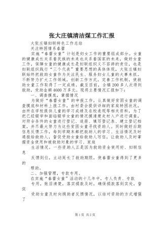 张大庄镇清洁煤工作汇报 