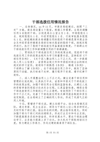 干部选拨任用情况报告 