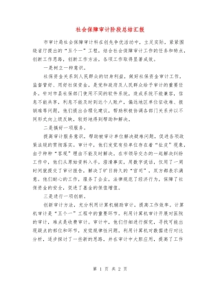 社会保障审计阶段总结汇报