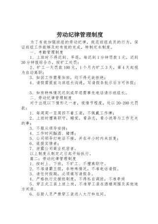 劳动纪律管理规章制度 (20)